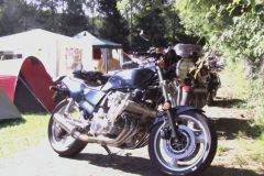 imageP0030