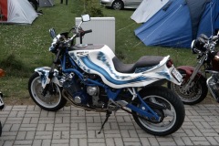 DHA0036
