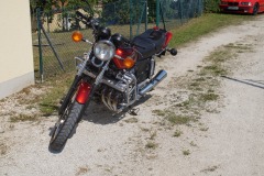 DSC01037-Kopie-Kopie